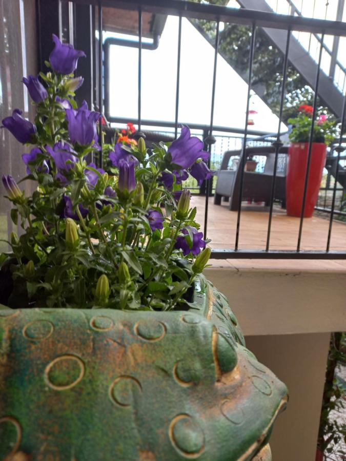 Rancha Azul Inn Alajuela Luaran gambar