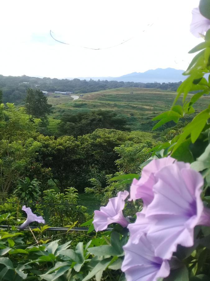 Rancha Azul Inn Alajuela Luaran gambar